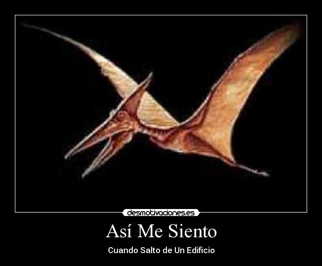 Así Me Siento - Cuando Salto de Un Edificio