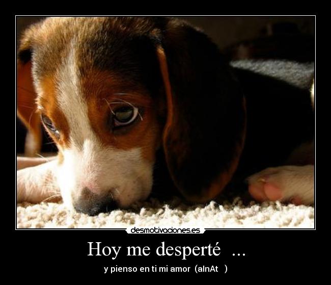 Hoy me desperté ... -