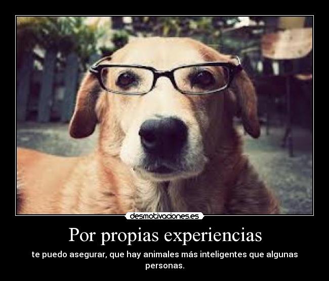 Por propias experiencias -