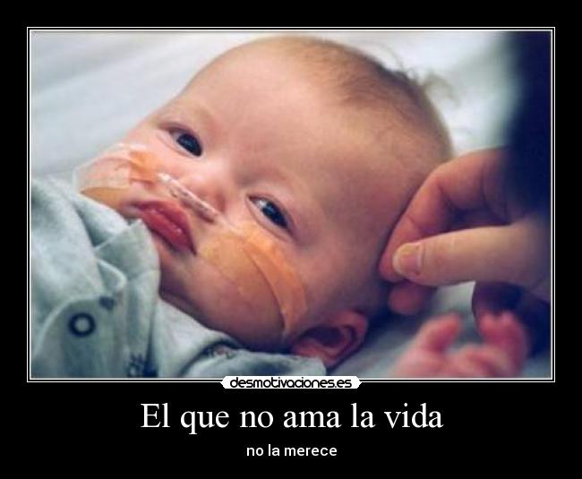 El que no ama la vida -