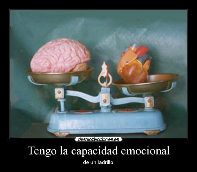 Tengo la capacidad emocional - de un ladrillo.