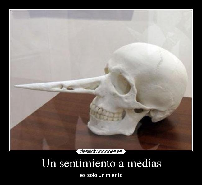 Un sentimiento a medias -