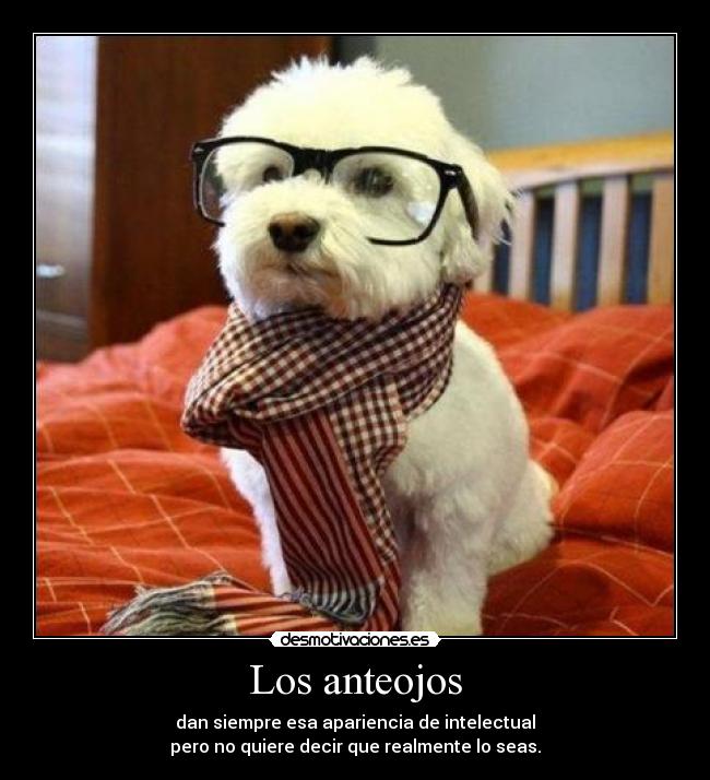 Los anteojos - dan siempre esa apariencia de intelectual
pero no quiere decir que realmente lo seas.