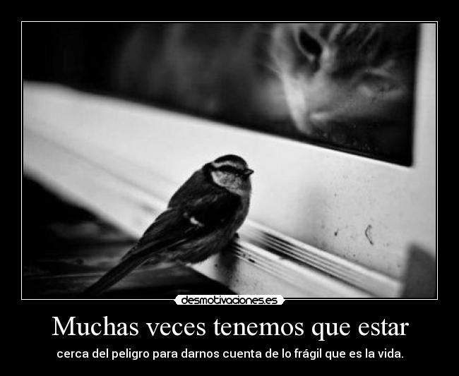 Muchas veces tenemos que estar - 