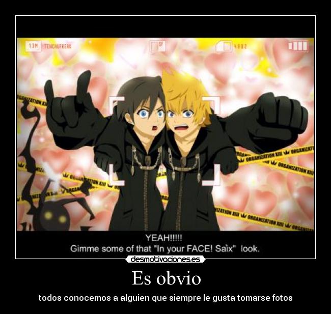 Es obvio - todos conocemos a alguien que siempre le gusta tomarse fotos