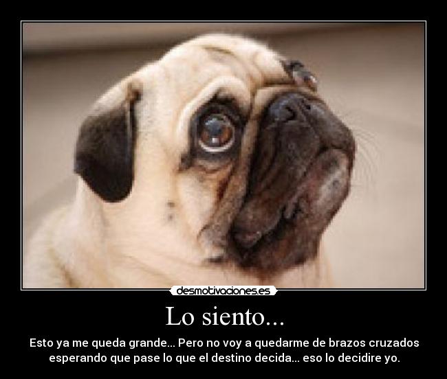 Lo siento... - Esto ya me queda grande... Pero no voy a quedarme de brazos cruzados
esperando que pase lo que el destino decida... eso lo decidire yo.