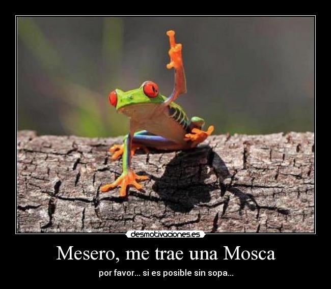 Mesero, me trae una Mosca - por favor... si es posible sin sopa...