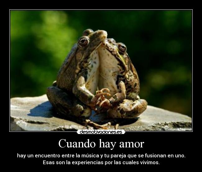 Cuando hay amor - hay un encuentro entre la música y tu pareja que se fusionan en uno.
Esas son la experiencias por las cuales vivimos.