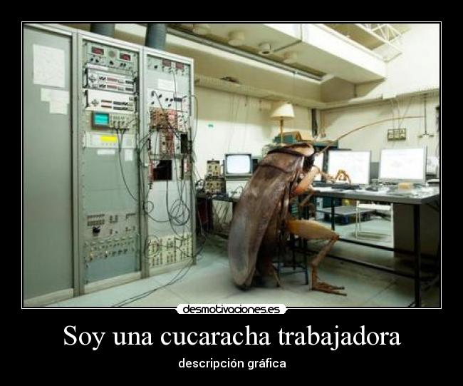Soy una cucaracha trabajadora - descripción gráfica