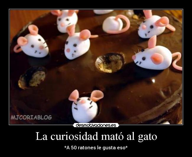 La curiosidad mató al gato -