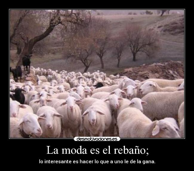 La moda es el rebaño; -