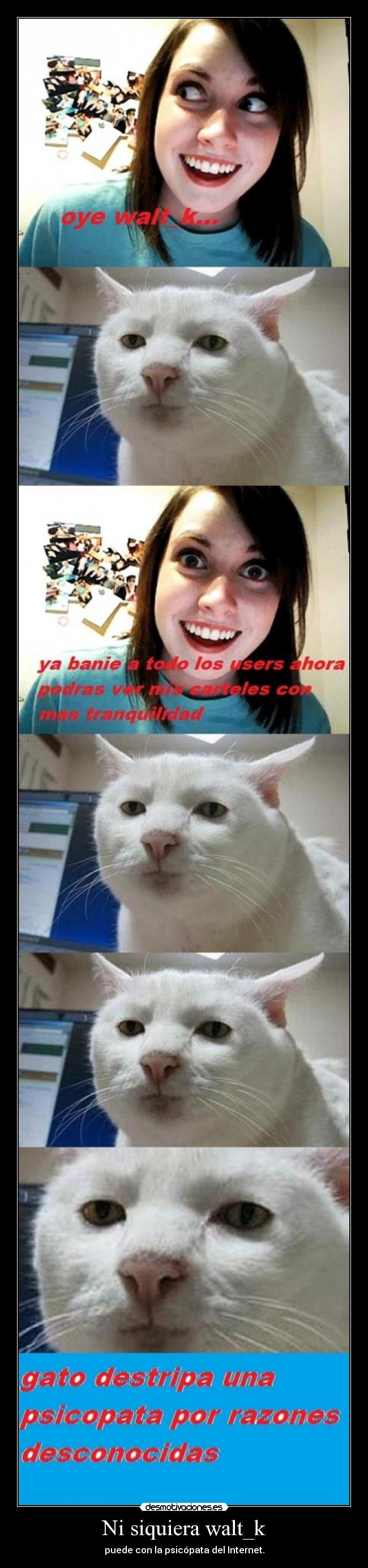 carteles cartel dedicado todas esas locuras psicopata desmotivaciones