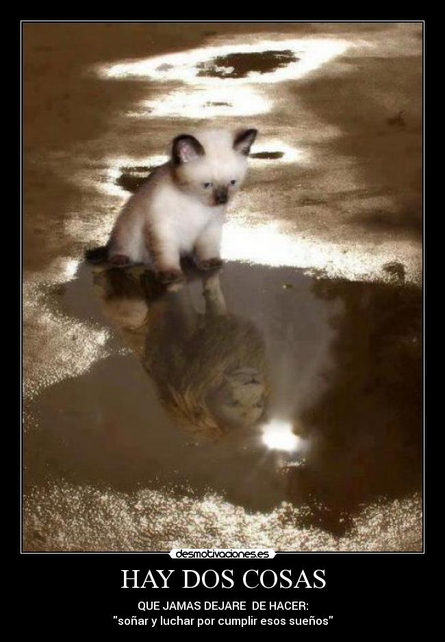 HAY DOS COSAS - QUE JAMAS DEJARE  DE HACER:
soñar y luchar por cumplir esos sueños