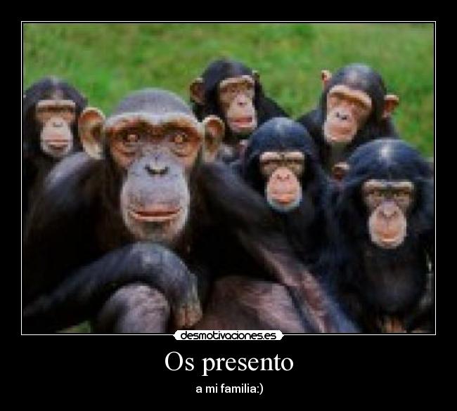 Os presento - 