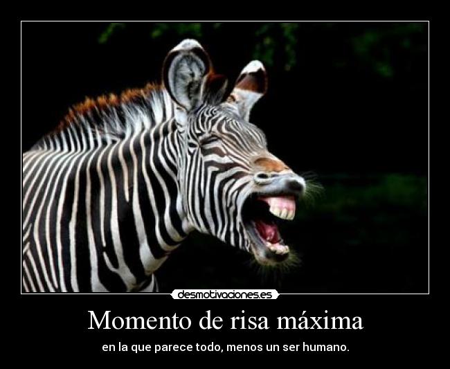 Momento de risa máxima - 