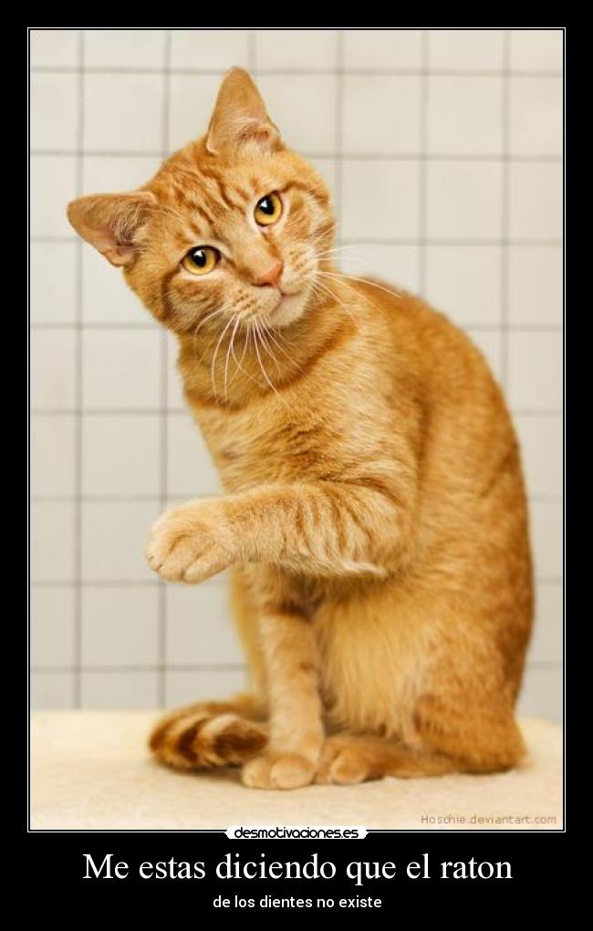 Me estas diciendo que el raton - de los dientes no existe