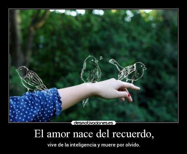 El amor nace del recuerdo, - vive de la inteligencia y muere por olvido.