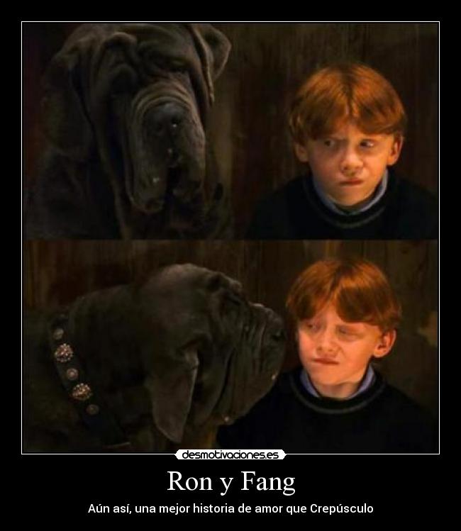 Ron y Fang -