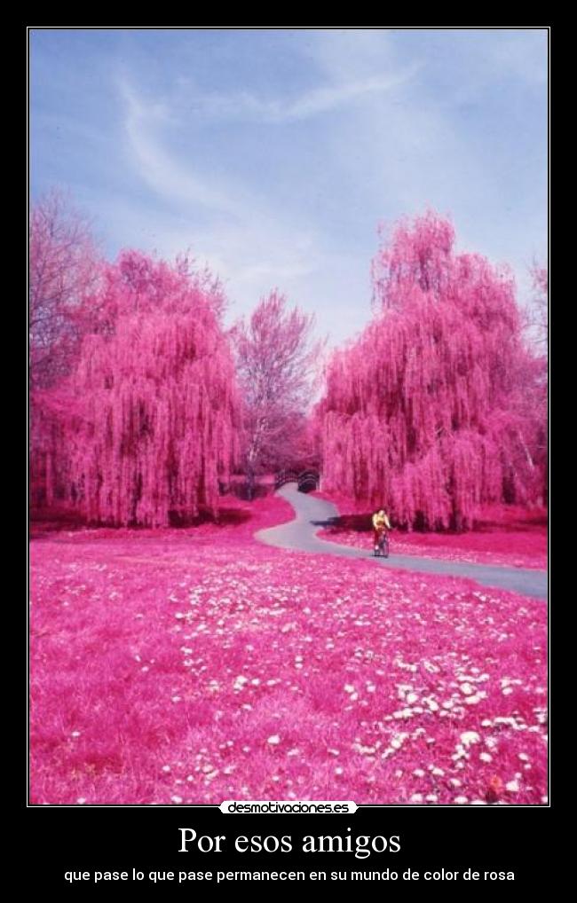 Por esos amigos -