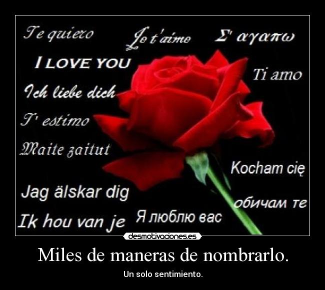 carteles amor desmotivaciones