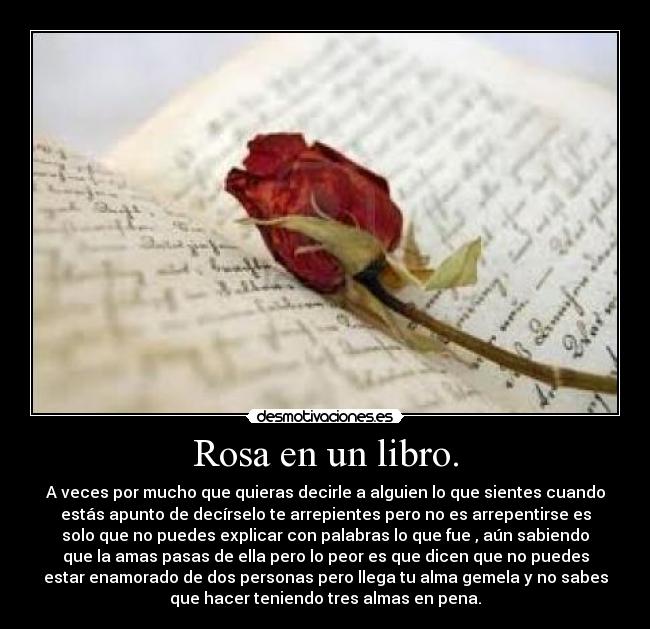 carteles simples echos desmotivaciones