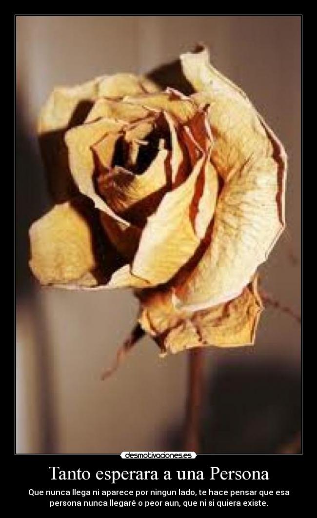 Tanto esperara a una Persona - Que nunca llega ni aparece por ningun lado, te hace pensar que esa
persona nunca llegaré o peor aun, que ni si quiera existe.