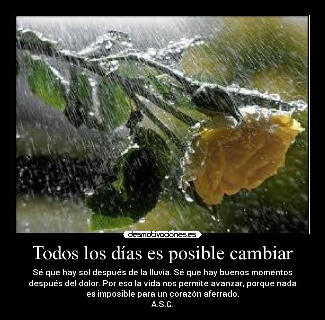 carteles andy silva cstaneda desmotivaciones