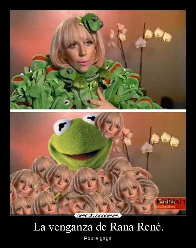 La venganza de Rana René. -