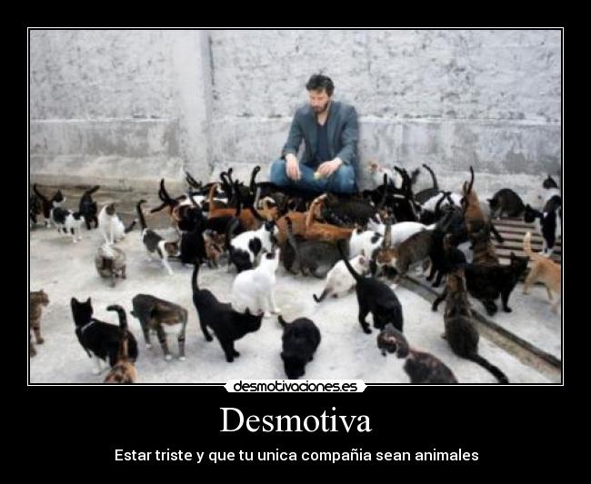 Desmotiva - Estar triste y que tu unica compañia sean animales