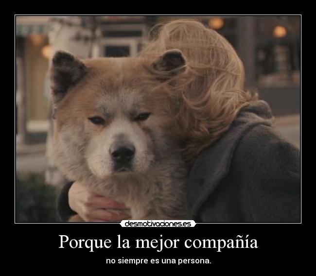 Porque la mejor compañía -