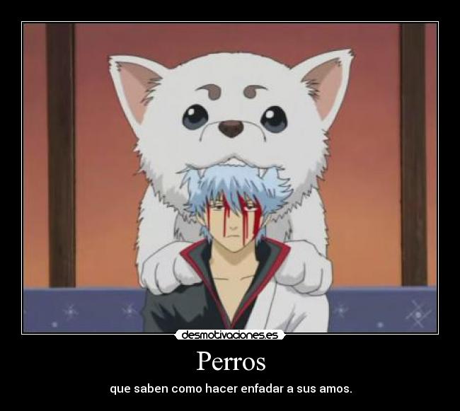 Perros -