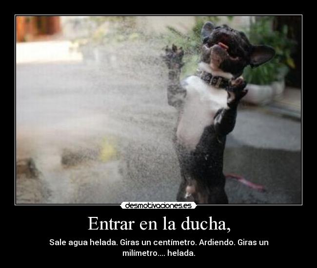 Entrar en la ducha, - Sale agua helada. Giras un centímetro. Ardiendo. Giras un milímetro.... helada.