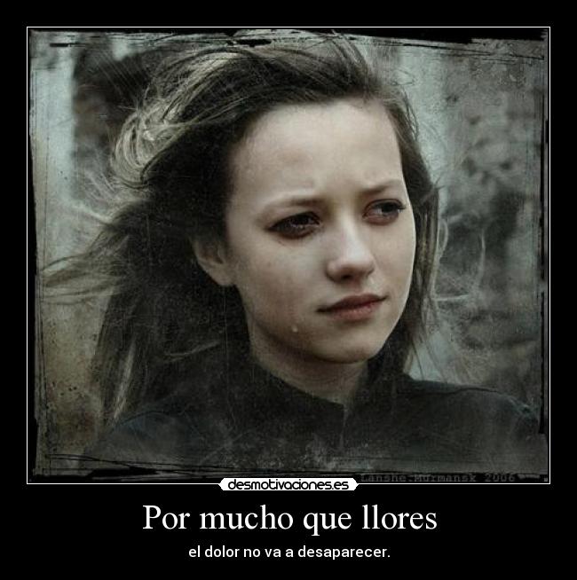 carteles por mucho que llores dolor desaparecer pasodeti desmotivaciones