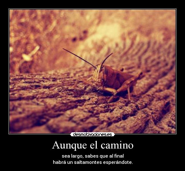 Aunque el camino - sea largo, sabes que al final
habrá un saltamontes esperándote.