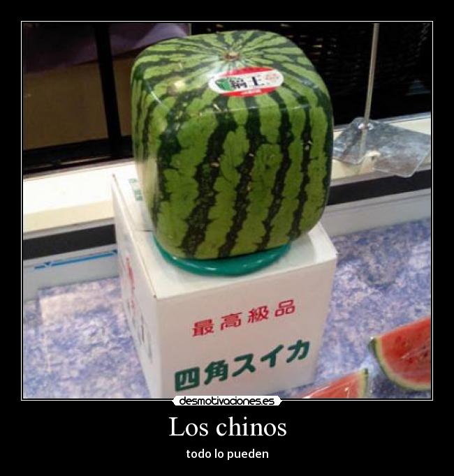 Los chinos - todo lo pueden