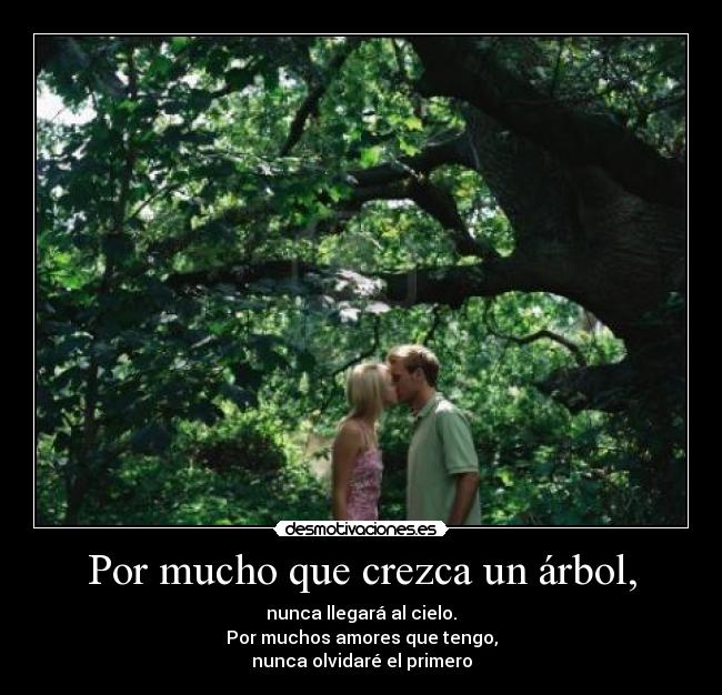 Por mucho que crezca un árbol, - nunca llegará al cielo.
Por muchos amores que tengo,
nunca olvidaré el primero