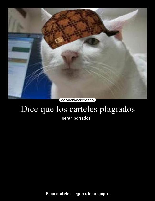 Dice que los carteles plagiados - serán borrados...














Esos carteles llegan a la principal.