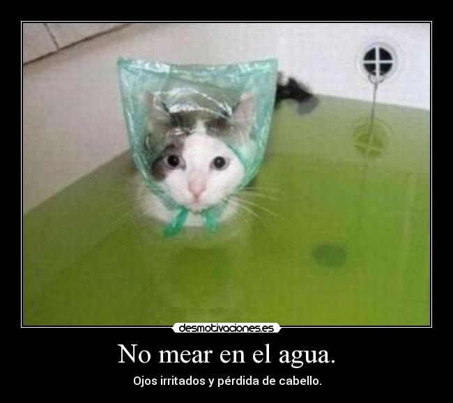 No mear en el agua. - Ojos irritados y pérdida de cabello.