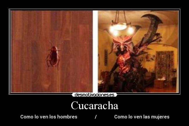 Cucaracha -