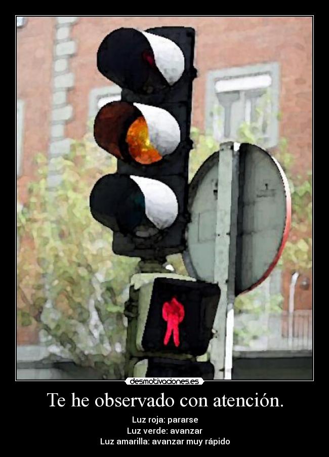 Te he observado con atención. - 