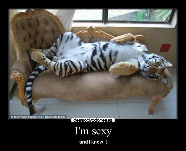 Im sexy - and I know it