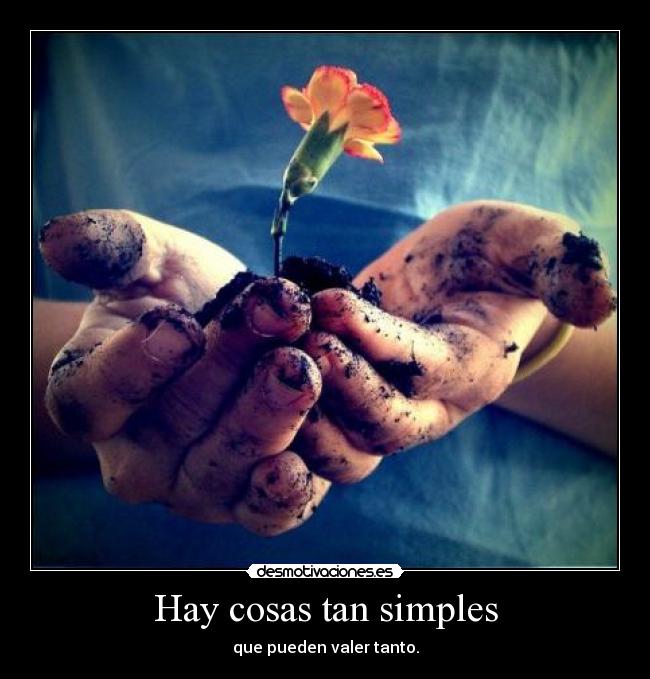 Hay cosas tan simples - 