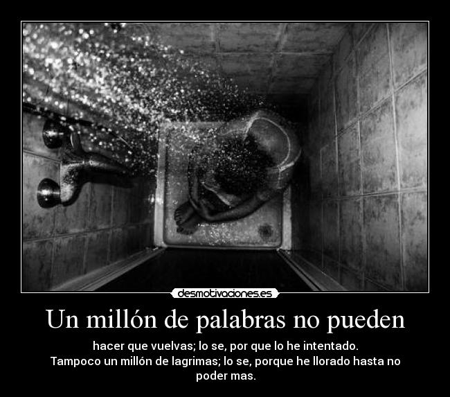 Un millón de palabras no pueden - hacer que vuelvas; lo se, por que lo he intentado.
Tampoco un millón de lagrimas; lo se, porque he llorado hasta no poder mas.