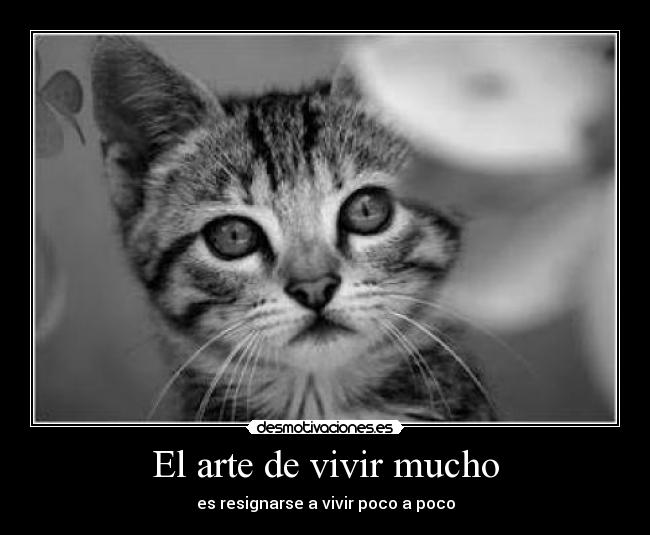 El arte de vivir mucho -