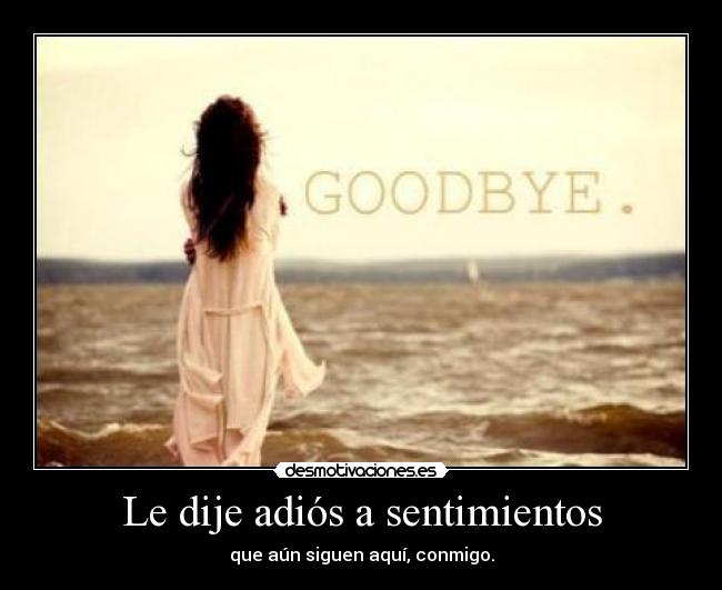 carteles sentimientos eliii97 silencio desmotivaciones