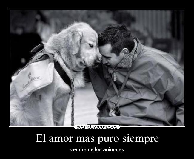 El amor mas puro siempre - vendrá de los animales