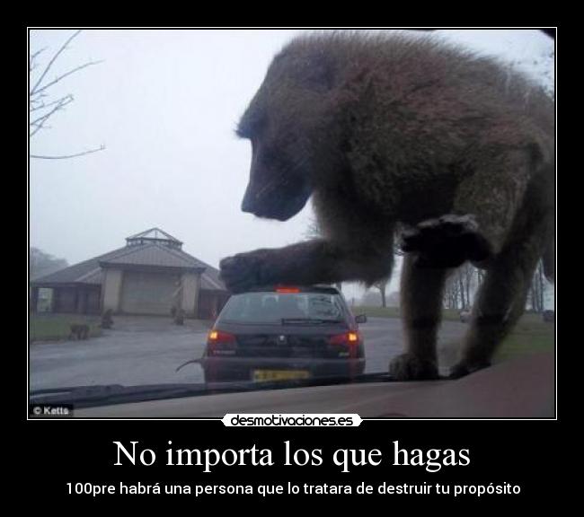 No importa los que hagas -