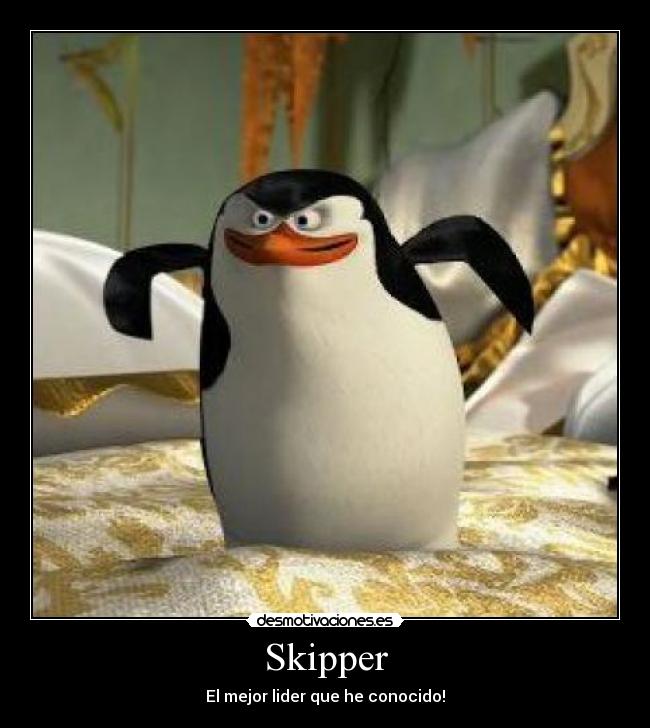 Skipper -