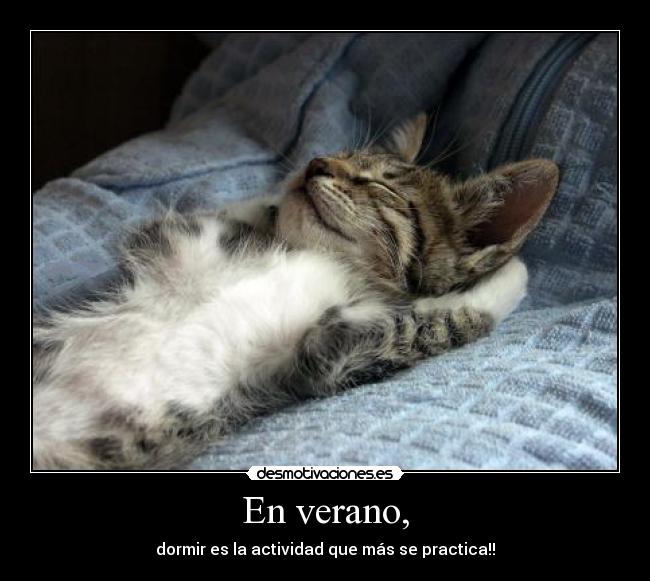 En verano, - dormir es la actividad que más se practica!!
