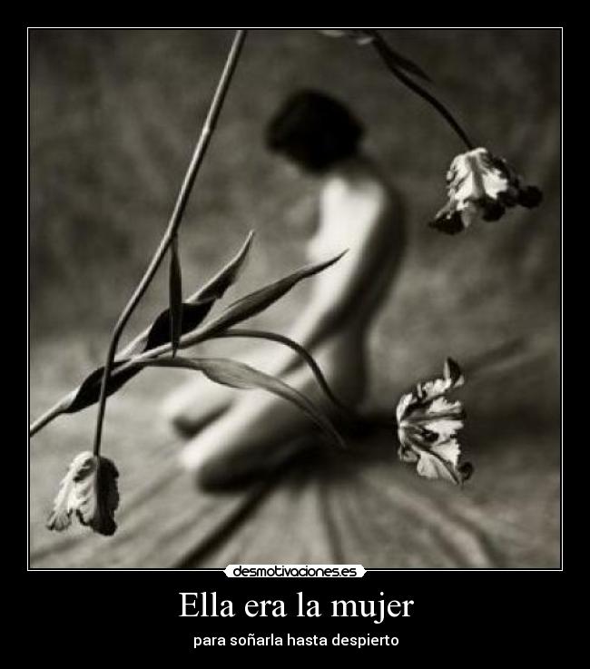 carteles mujer ella era mujer para sonarla hasta despierto desmotivaciones